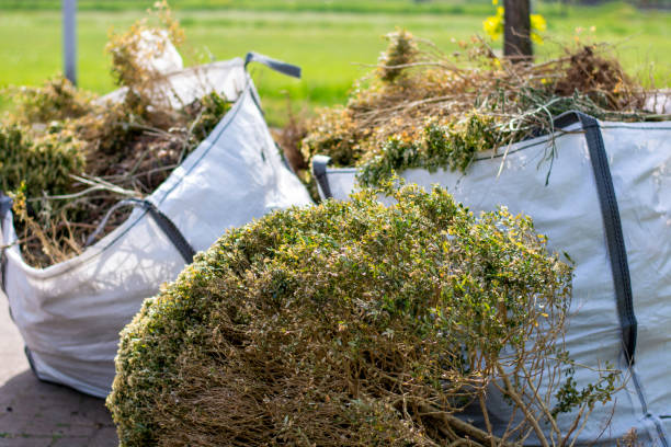 Basement Cleanout Services in Jeffersonville, OH